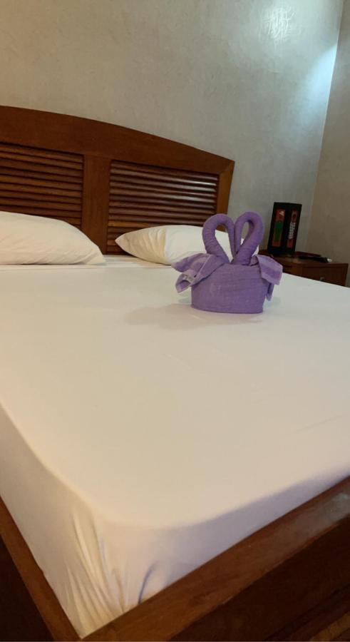 Senebreizh Hotel Somone Esterno foto